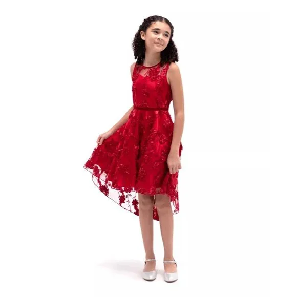 Rare Editions Big Girls Floral Soutache High-Low Social Dress, Size 14